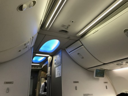 Turkish Airlines 737-800 Business Class Cabin